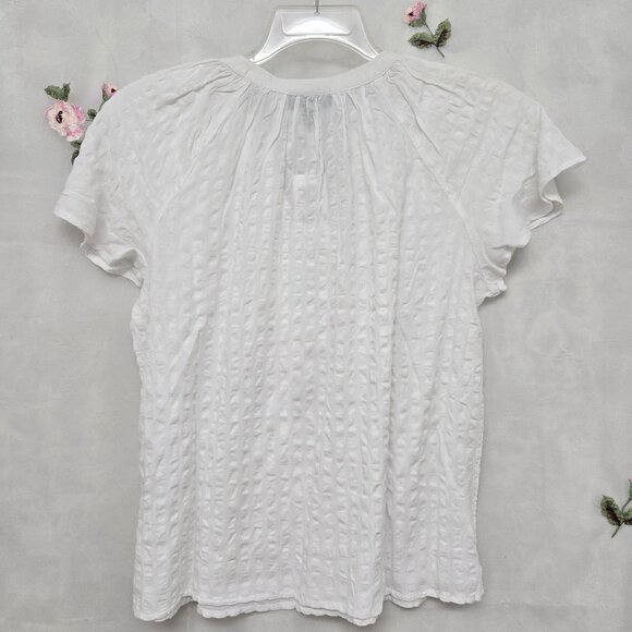 Style & Company* White V-neck blouse w/ short flutter sleeves* Size: PL - Picture 6 of 9